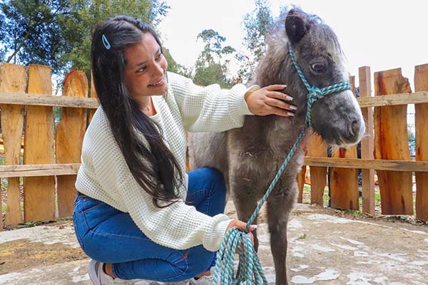 Programas Técnico Laboral en Auxiliar Veterinario y en Cuidado de Mascotas