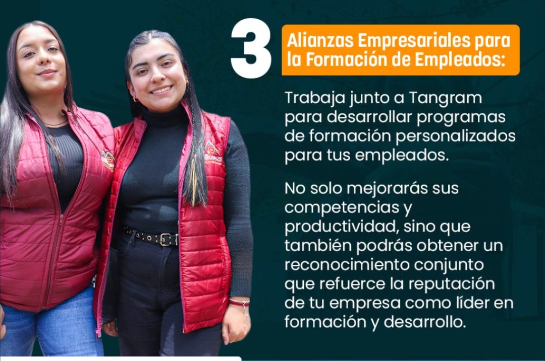 Boletin V2 3 10 Maxima