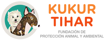 Kukur Tihar Kukur Tihar